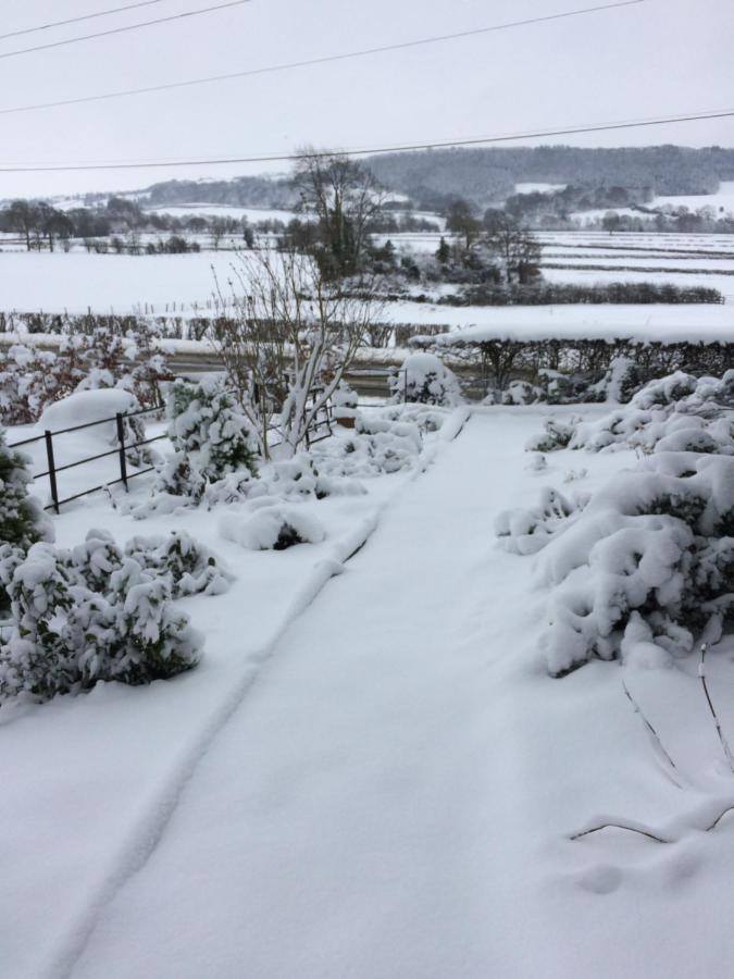 Tan Y Graig Bed & Breakfast Meifod Exterior photo